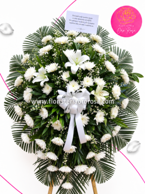 Ref. 255