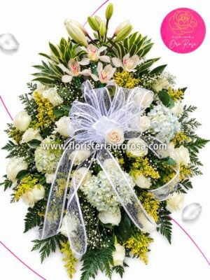 Ref. 217